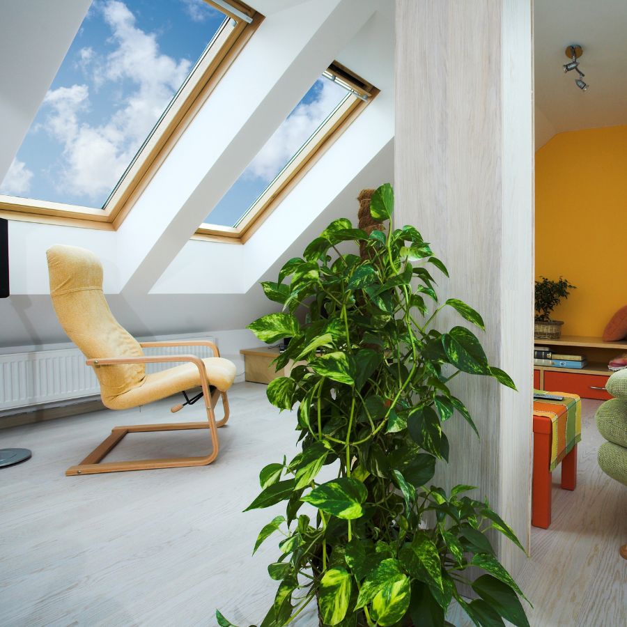 Skylights are more than just a safety feature; they’re integral to enjoying the full beauty of natural light in your home.